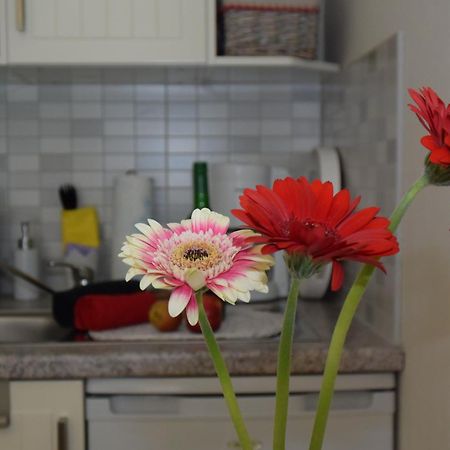 Ferienapartments Urlaub Und Meer Ostseebad Kühlungsborn 객실 사진