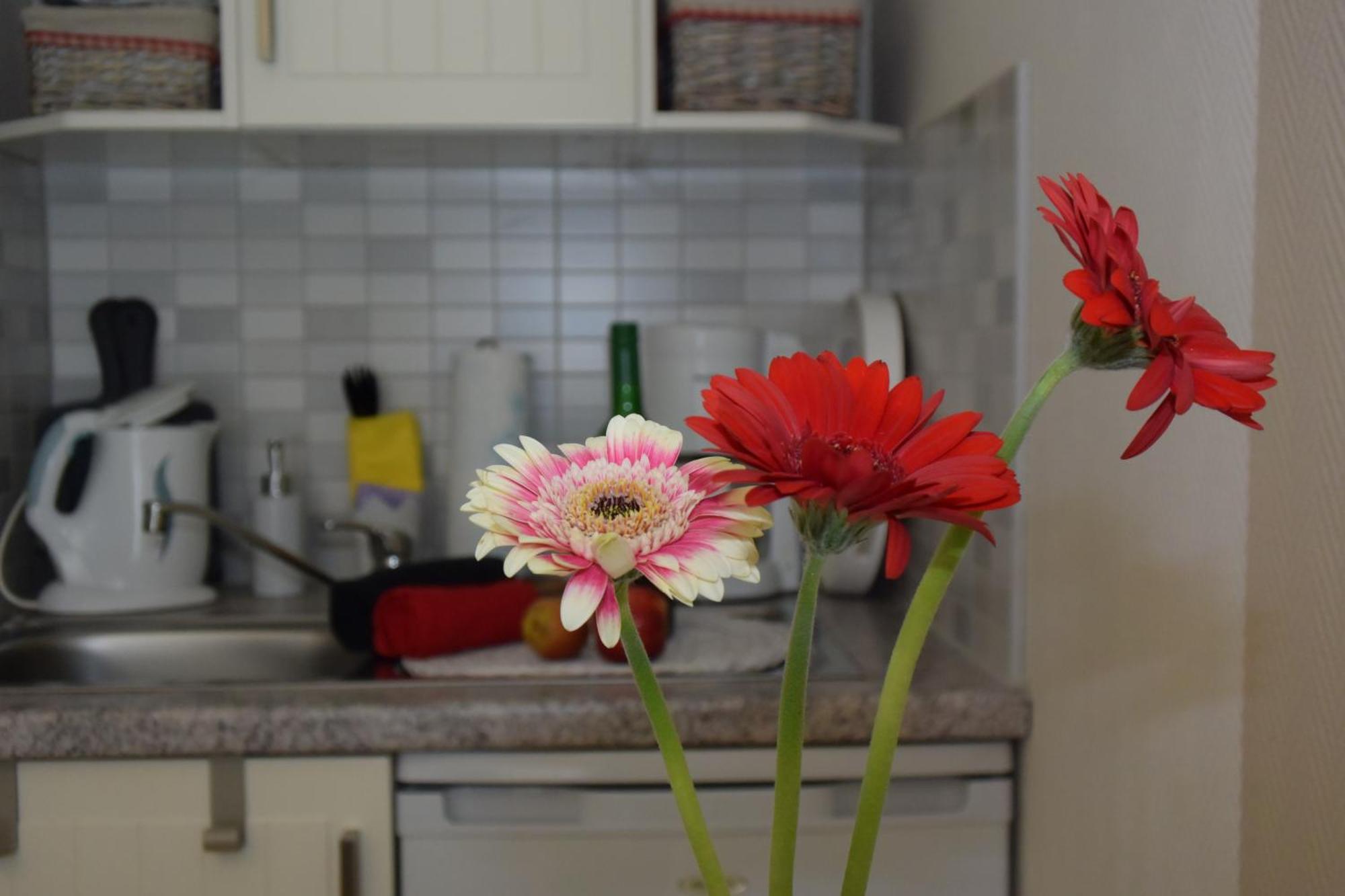 Ferienapartments Urlaub Und Meer Ostseebad Kühlungsborn 객실 사진