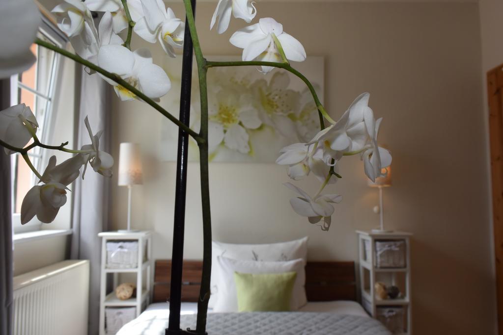 Ferienapartments Urlaub Und Meer Ostseebad Kühlungsborn 외부 사진